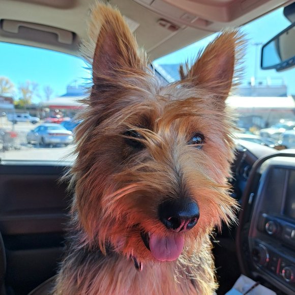 Meet your Posher, Belinda - Picture 2 of 2